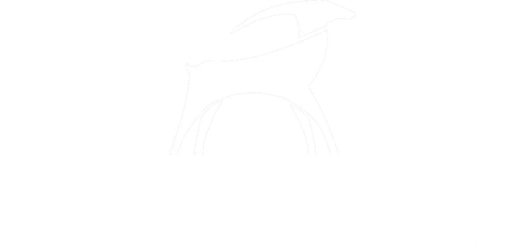 Logo cliente rivetti