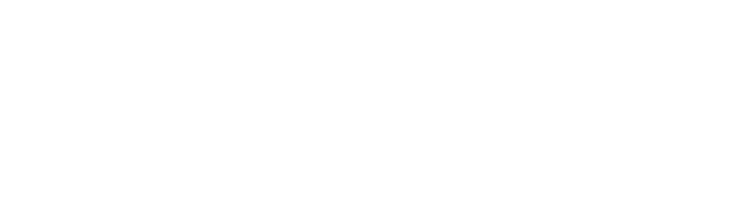 Logo cliente capasso